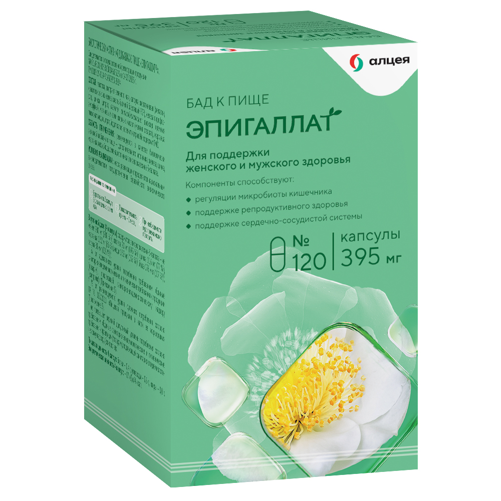 ЭПИГАЛЛАТ КАПС 500МГ №120